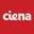 CIEN logo