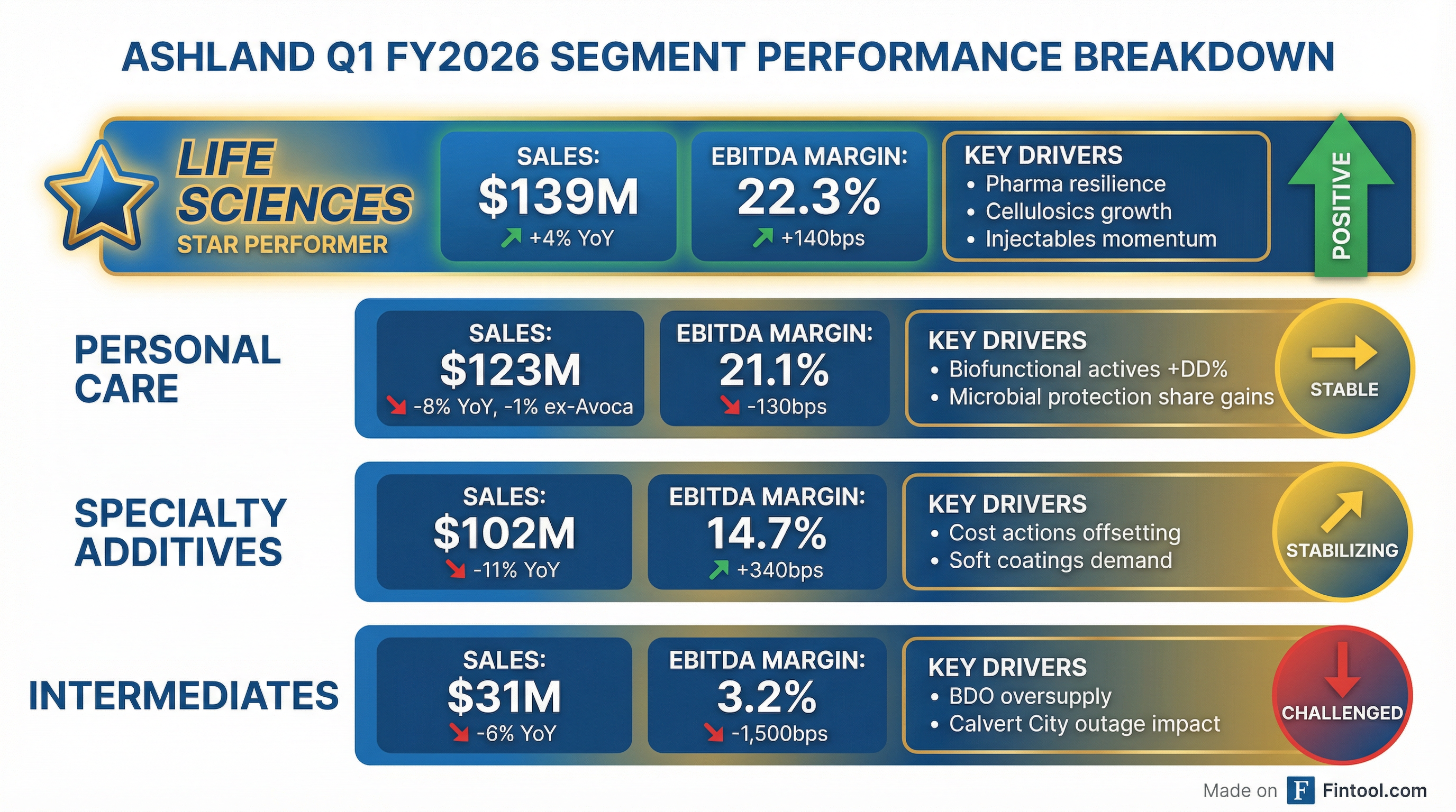Segment Breakdown