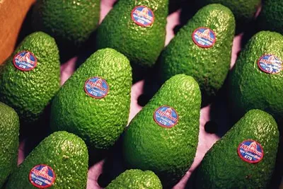 Mission Produce to Acquire Calavo Growers in $430M Deal, Creating North American Avocado Giant