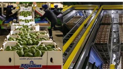 Mission Produce's 10% Owner Bets $11.6M on Calavo Deal