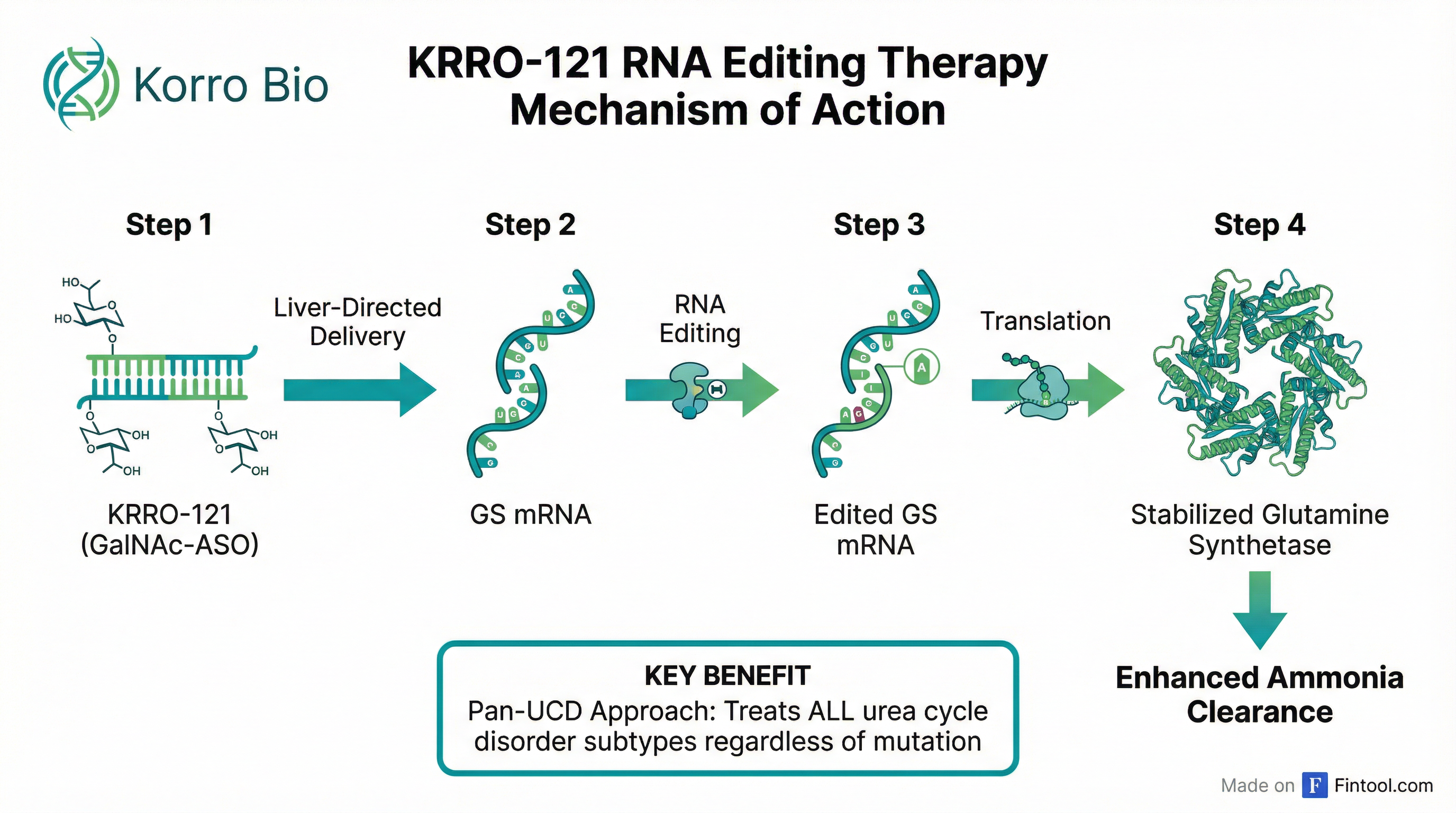 Mechanism of Action