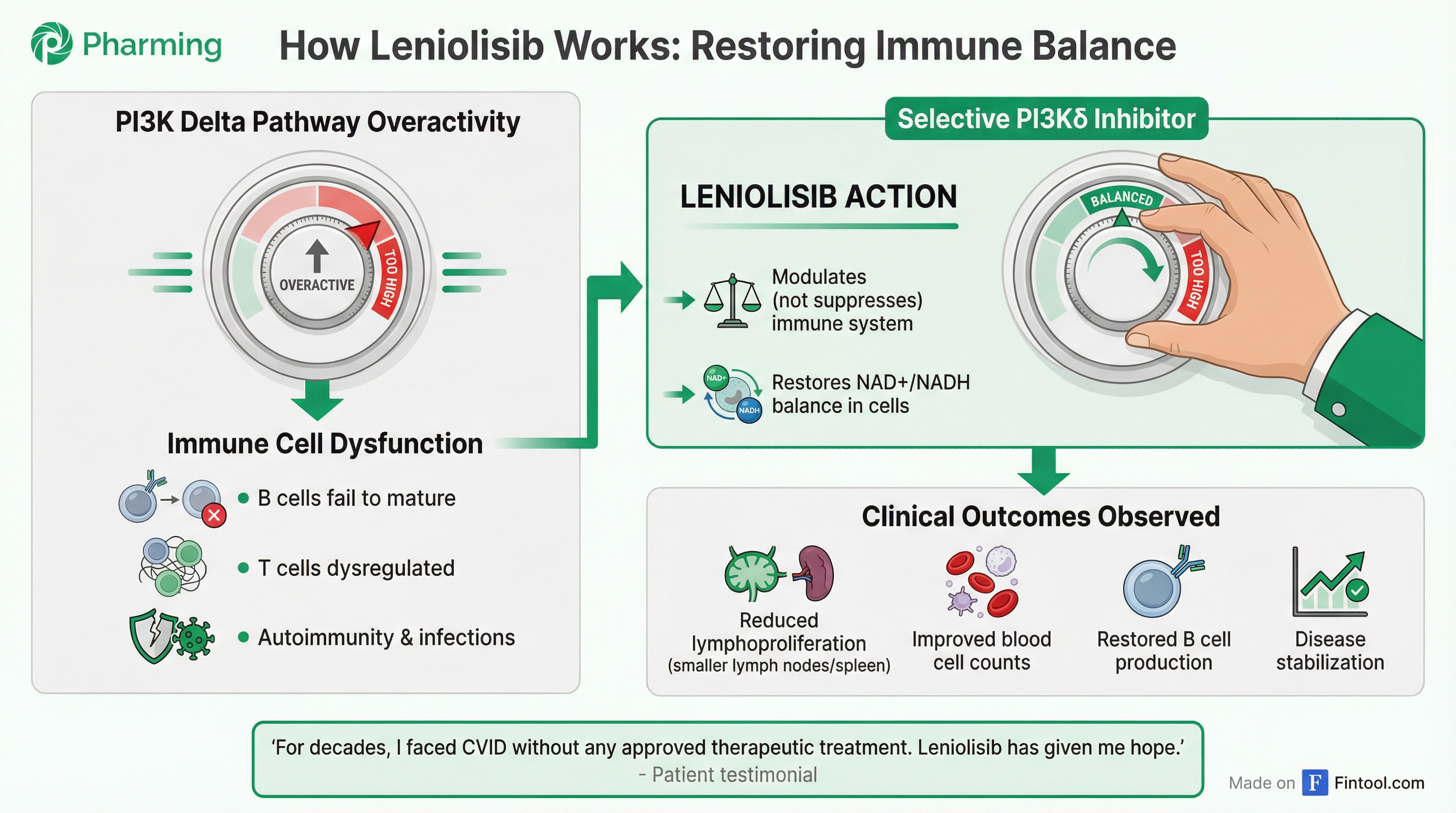 Leniolisib Mechanism